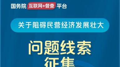 骚逼网站国务院“互联网+督查”平台公开征集阻碍民营经济发展壮大问题线索